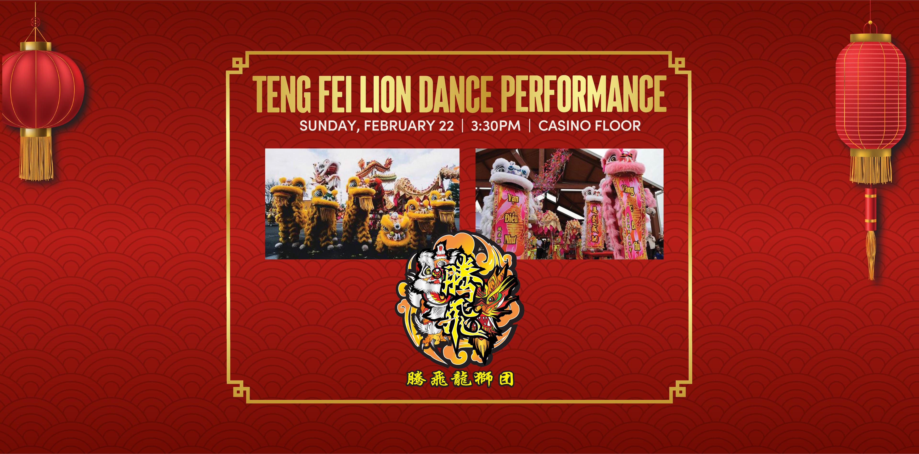 TENG FEI LION DANCE
